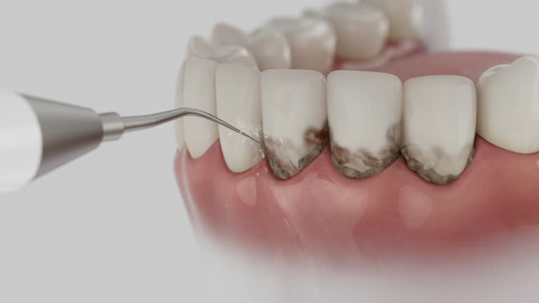 Reliable Dental contractor in Hudsonville, MI by Dentist Open Now